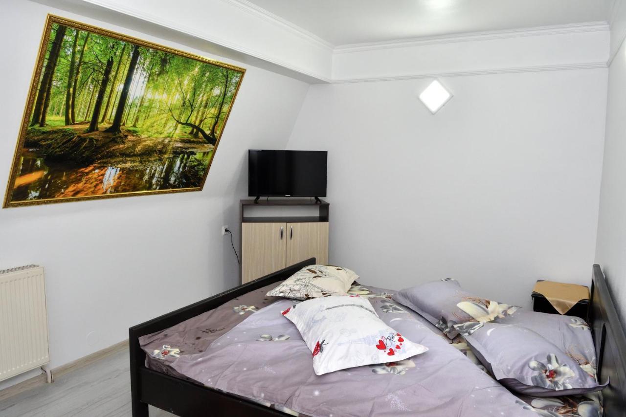 Auberge de jeunesse Casa Simescu I à Caransebeş Extérieur photo