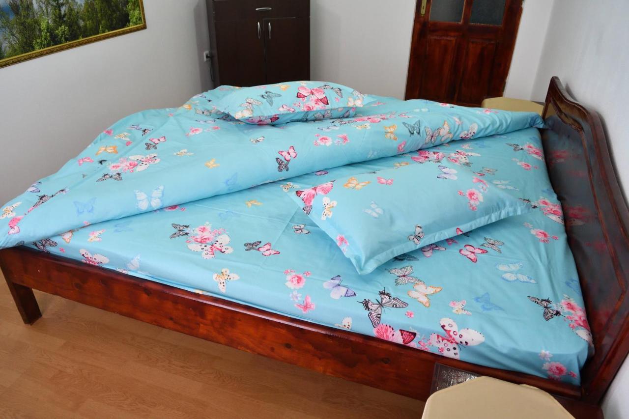 Auberge de jeunesse Casa Simescu I à Caransebeş Extérieur photo