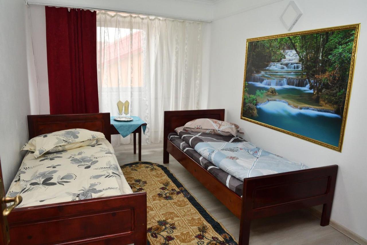 Auberge de jeunesse Casa Simescu I à Caransebeş Extérieur photo