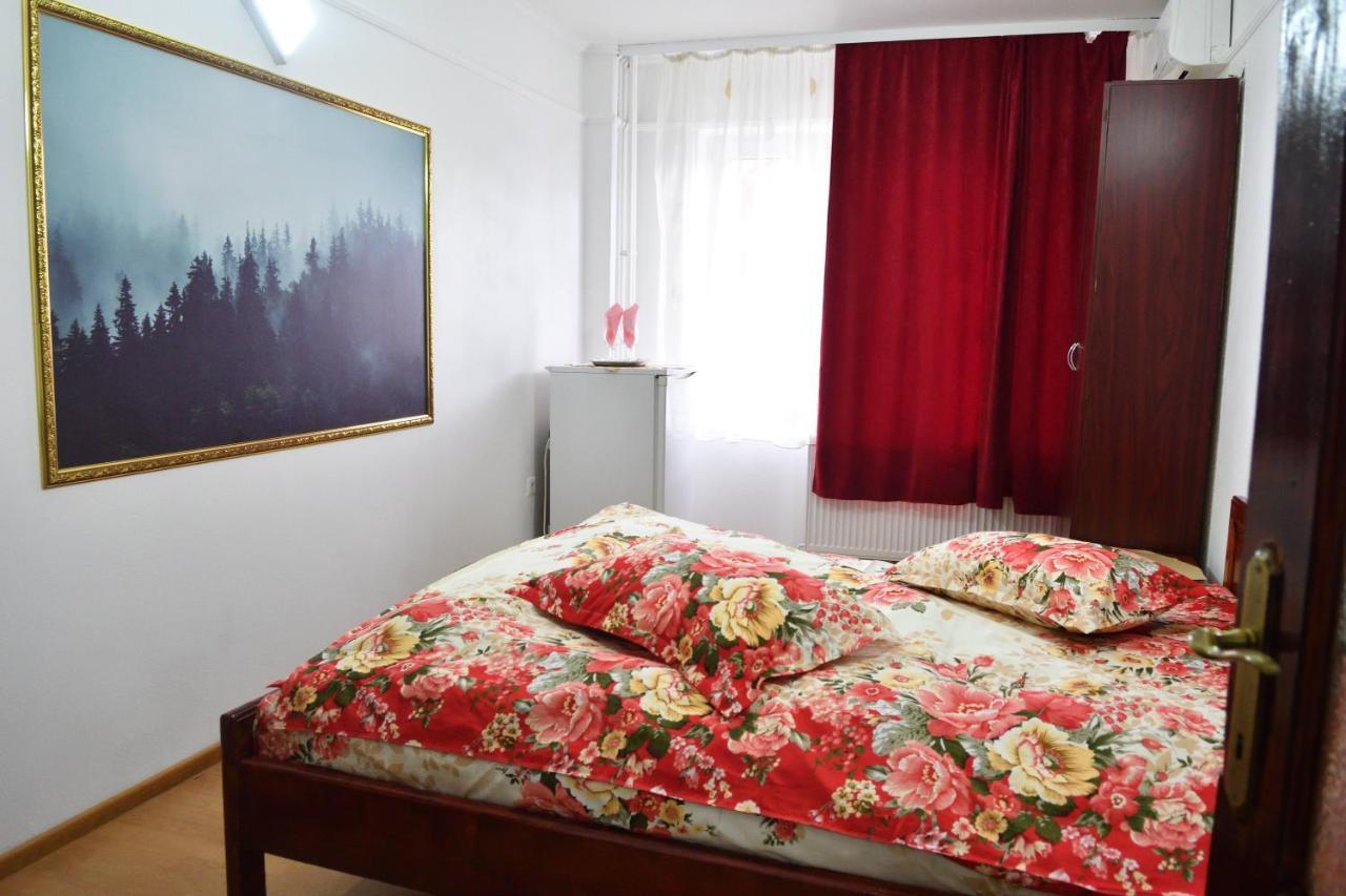 Auberge de jeunesse Casa Simescu I à Caransebeş Extérieur photo