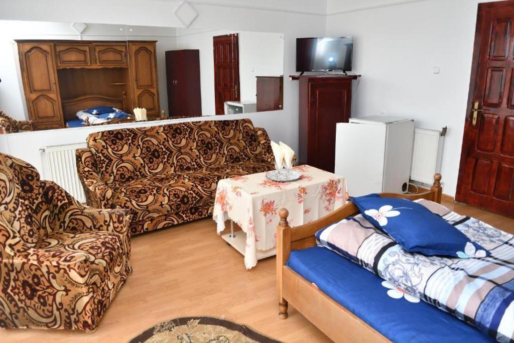 Auberge de jeunesse Casa Simescu I à Caransebeş Extérieur photo
